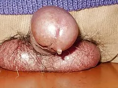 Stuzzicare